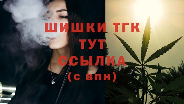 прущие грибы Инта