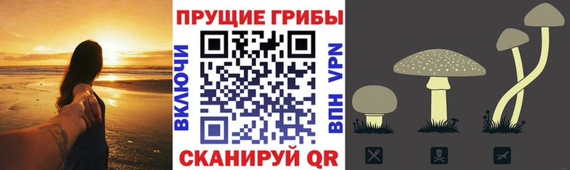 Галлюциногенные грибы мухоморы  Бердск 